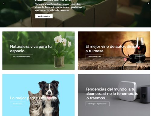 www.marketvivo.cl