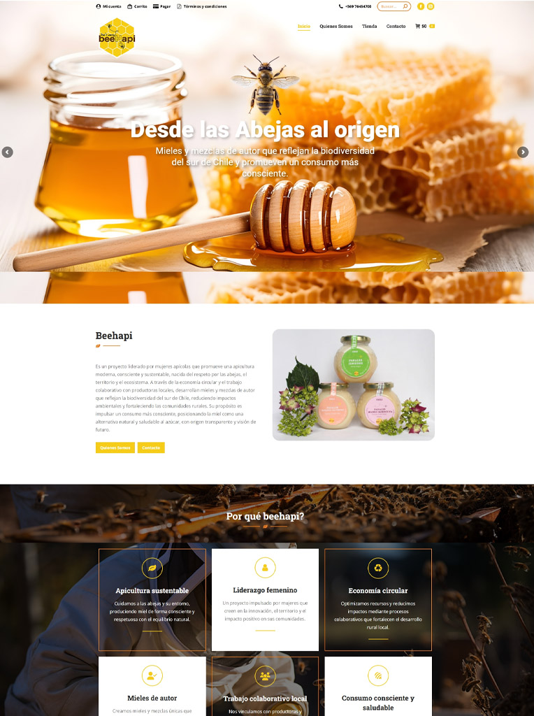 www.beehapi.cl